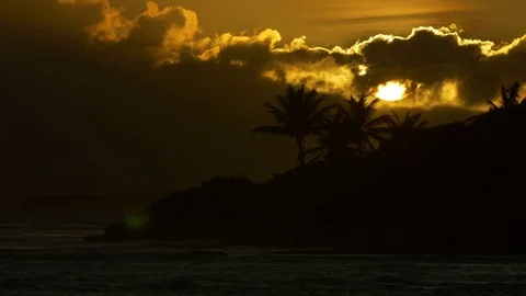 Setting sun hiding behind the clouds and palm tree silhouettes beside the sea Stock Footage 77558887