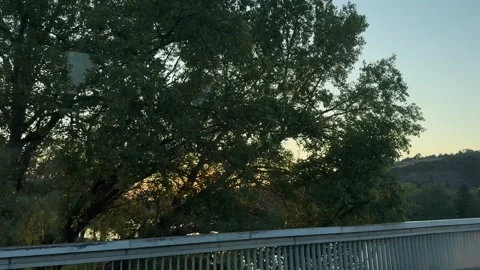 Setting sun, orange light illuminating river, green tree, distant hill, moving Stock Footage 334676412