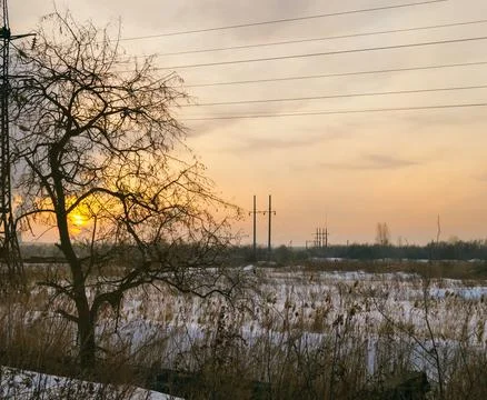 The setting sun peeks through the bare branches of a tree Foto stock