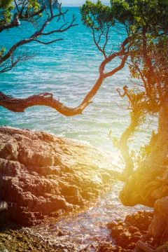 Setting sun reflected in calm water breacking gently over a large rock Stock Photos