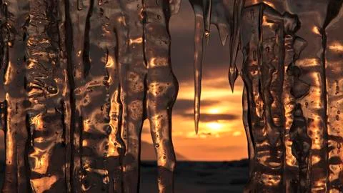 Setting sun is reflected in icicles Stock Photos