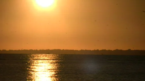 Setting sun is reflected in the rippling water (High Definition) Stock Footage 364815
