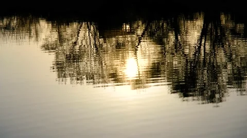The setting sun is reflected on the surface of the water. The sunset is Stock Footage 195123013