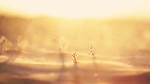 As the setting sun scatters the sand grains, time slips away. Stock Footage 295420076