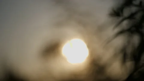 Setting sun seen through the grasses Stock Footage 162182059