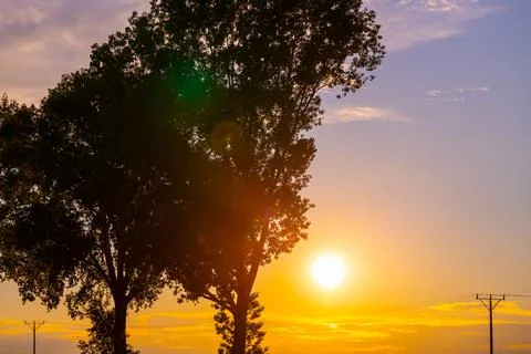 The setting sun shines through the branches of trees, autumn landscape Stock Photos