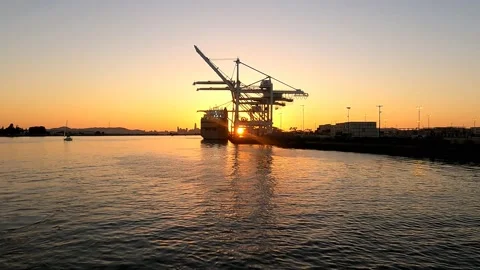 Setting Sun Shines Through Oakland Harbor Video stock 151495784