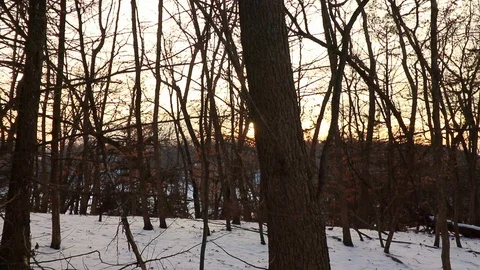 The setting sun shines through the trees on a snowy winter day. Stock Footage 120488909