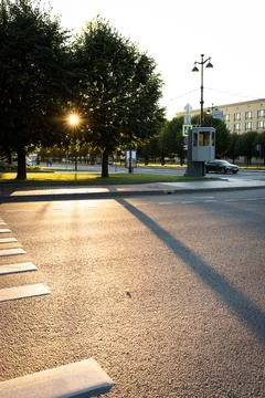 The setting sun shines through the trees in the Stock Photos