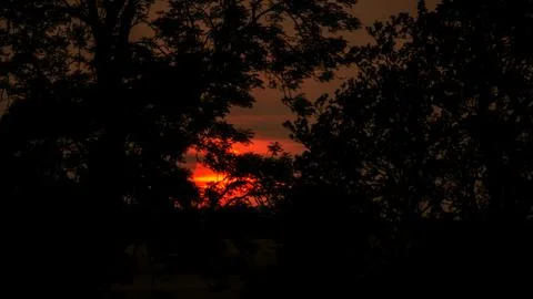 Setting sun shining through trees in silhouette stock photo Stock Photos