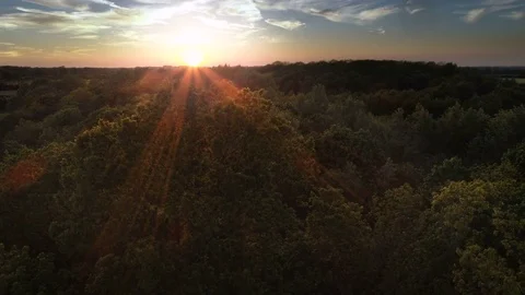 Setting sun shining through treetops in the forest, aerial view Video stock 75927625