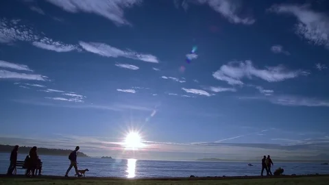 Setting sun silhouettes at the waterfront park Video stock 84659582