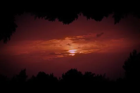 Setting sun tree frame Stock-Fotos