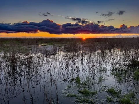 The Setting Sun on Wetlands Stock Photos