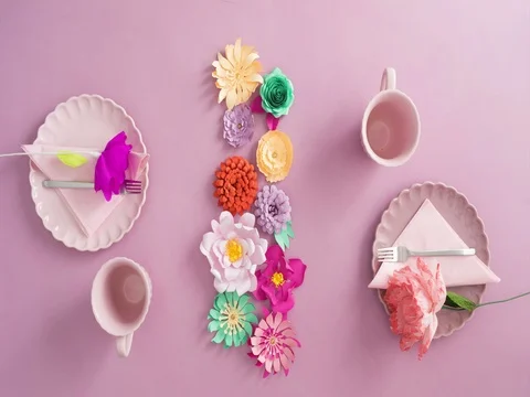 Setting the table Stock Footage 69706078