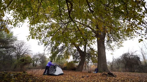Setting Up a Tent in Autumn Forest Video stock 327083736