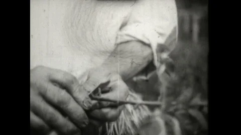 Setting a Trap Stock Footage 83619839