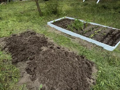 Setting up two high raised beds with wooden base. Stock Photos
