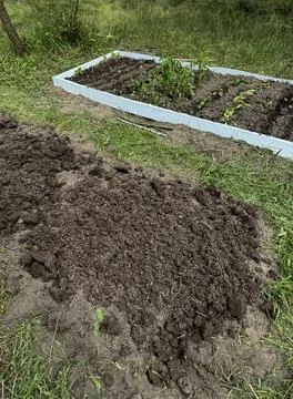 Setting up two high raised beds with wooden base. Stock Photos