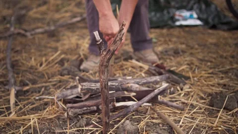 Setting Wooden Campfire Stakes for Cooking Pot Outdoors Stock Footage 346711033