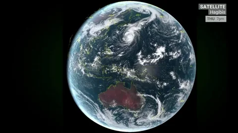 Settlelite ,Forecast  wind gusts, Hagibis to Japan. Stock Footage 117857094