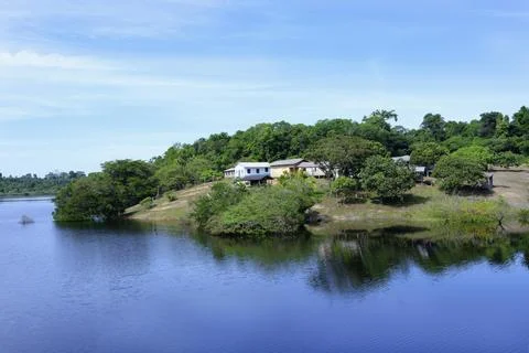 Settlement along an Amazon tributary, Amazonas state, Brazil, South America Fotos de archivo