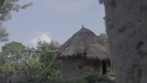 Settlement Stock Footage 308013138