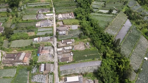 Settlement on the Volcano Slope 스톡 동영상 149856636