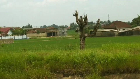 Settlements in agricultural areas Stock Footage 231274255