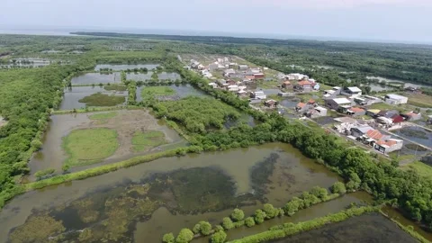 Settlements that have penetrated the Mangrove Stock Footage 138795545
