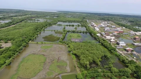 Settlements that have penetrated the Mangrove Stock Footage 138795739