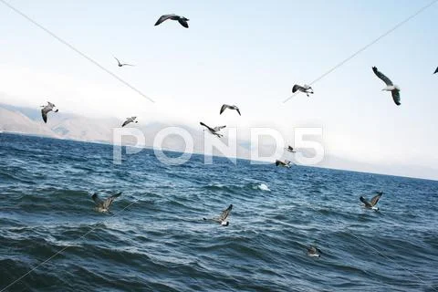 Sevan lake Stock Photos