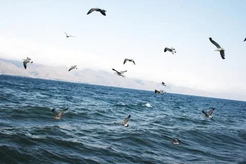 Sevan lake Stock Photos