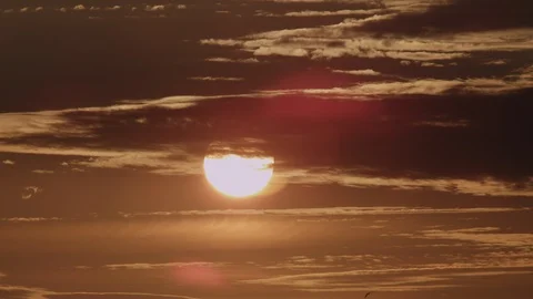 Sevastopol Stock Footage 101669992