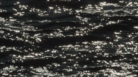 Sevastopol Stock Footage 102129760