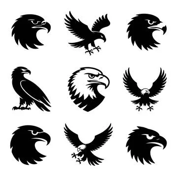 Seven black eagle in different poses bird wildlife Stock Illustration