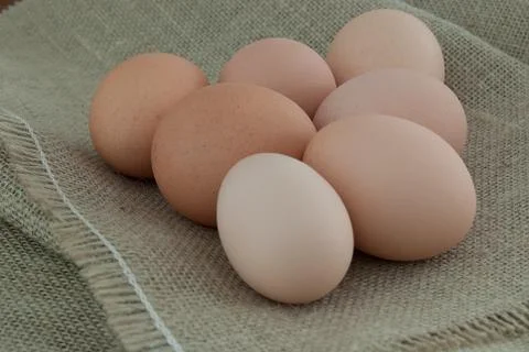 Seven chicken eggs Stock Photos