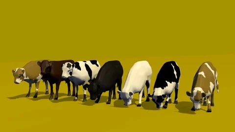 SEVEN COWS EATING GRASS FRONT VIEW Stock-Footage 75014019