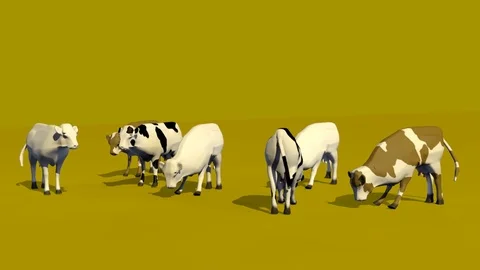 SEVEN COWS GRAZING FRONT VIEW Vídeos de archivo 75019569