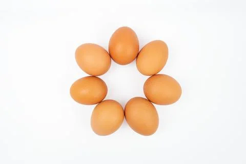 Seven eggs arranged in a ring or circle shape, isolated on white background Stock Photos
