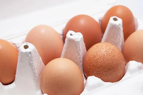 Seven eggs Stock Photos