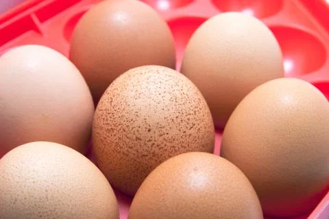Seven eggs Stock Photos
