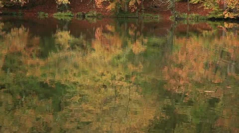 Seven Lakes Vídeos de archivo 12539021