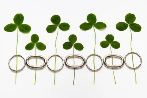 Seven-leaf clover in the chain Stock Photos