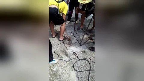 Seven men rescue kittens trapped in concrete sewer Vidéo 109249261