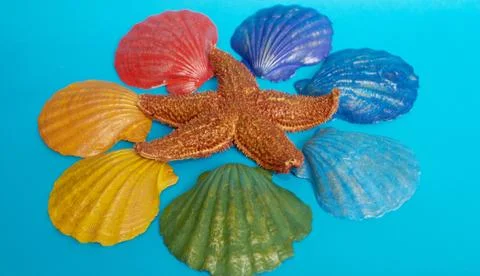 Seven shells, painted in rainbow colors, lie around a starfish on a blue back Stock Photos