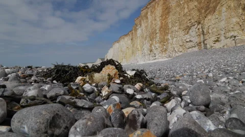 Seven Sisters chalk cliffs towering above the seaweed covered pebble beach Stock Footage 277368040