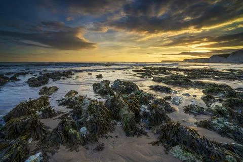 The Seven Sisters cliffs,  South Downs National Park, Eastbourne, East Sussex Stock Photos