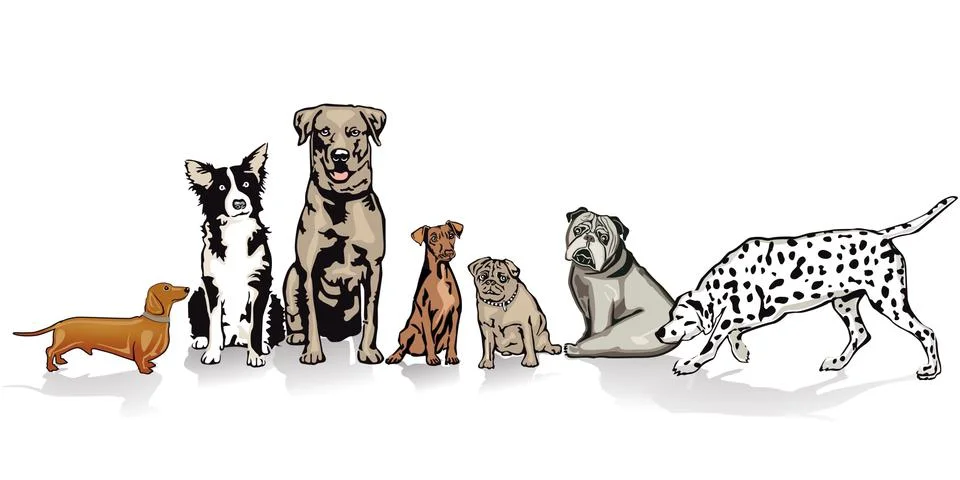 Seven sitting dogs in the row Stock Illustration