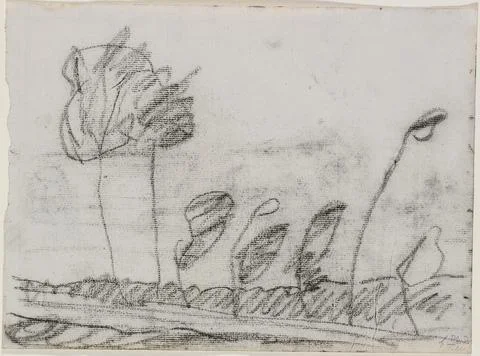 Seven Trees ca. 19001902 Paula Modersohn-Becker German This spontaneous dra.. Stock Illustration